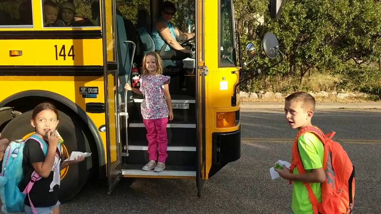 school-bus-rides