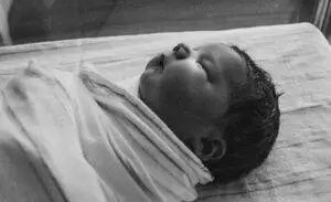 newborn