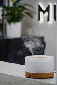 4 Ways a Cool Mist Humidifier Helps with Congestion in Newborns 4 cool mist humidifier
