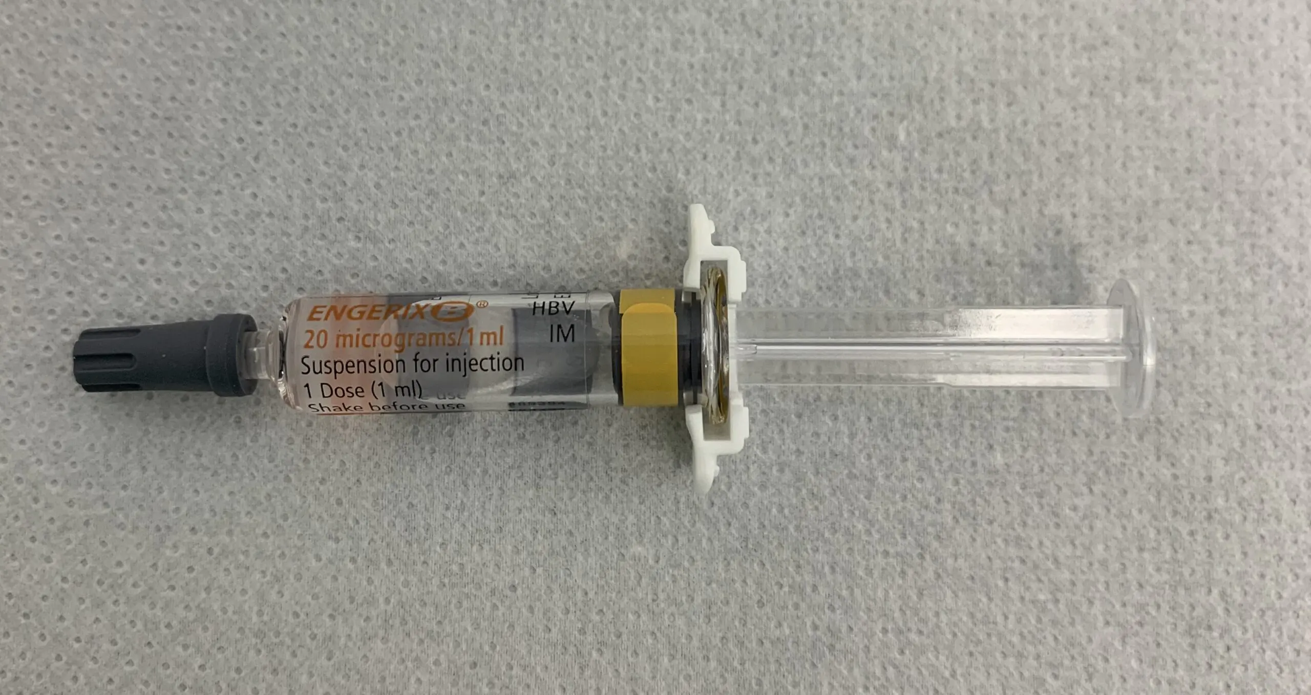hepatitis b