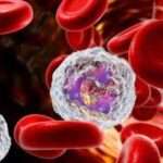 hepatitis b